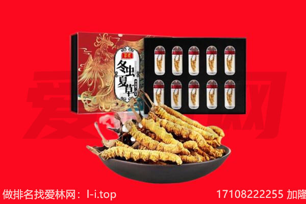 平房区回收虫草.jpg